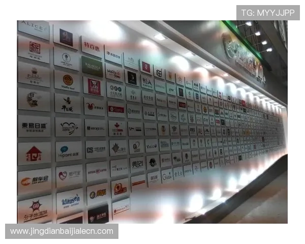 ob视讯官网最新入口，全面介绍平台特色与安全保障措施