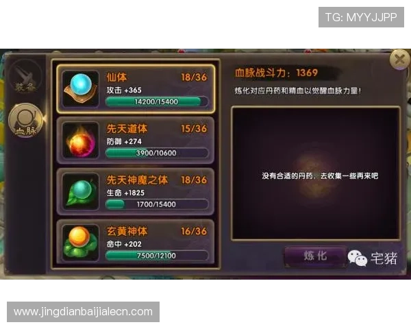 参与K8龙虎真人游戏的最佳时间与策略推荐助你轻松获利