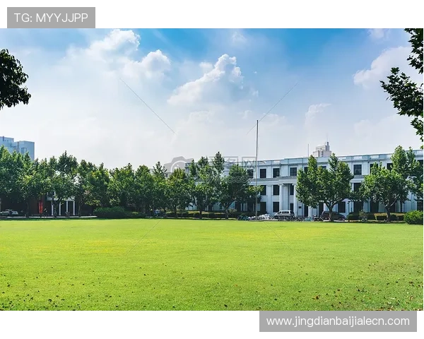 百家乐规则表详解全面解析适合新手玩家的游戏规则指南