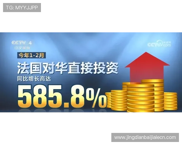 如何选择优质的AG真人国际厅代理合作伙伴实现稳步盈利